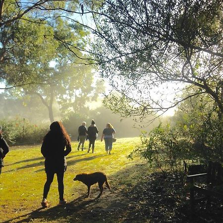 Kurrajong Trails & Cottages Wheeny Creek Buitenkant foto