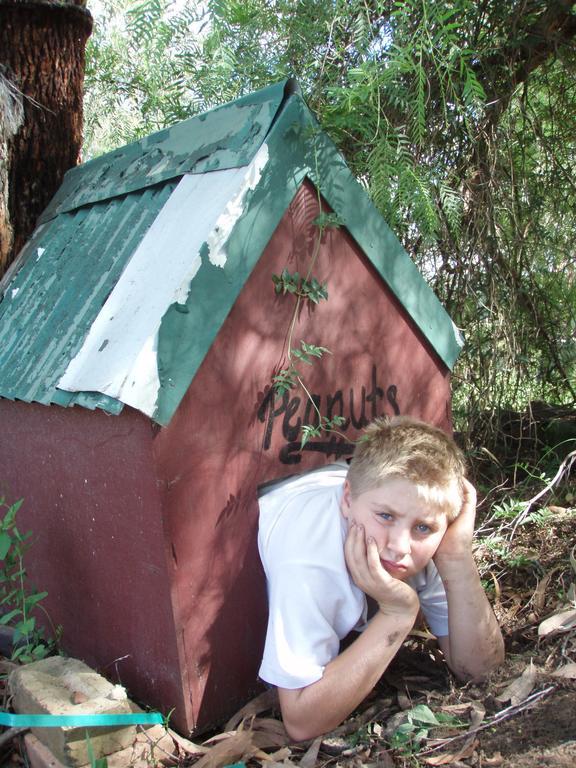 Kurrajong Trails & Cottages Wheeny Creek Buitenkant foto