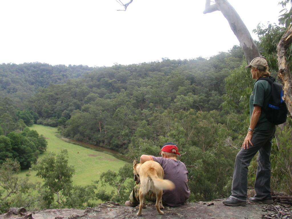 Kurrajong Trails & Cottages Wheeny Creek Buitenkant foto