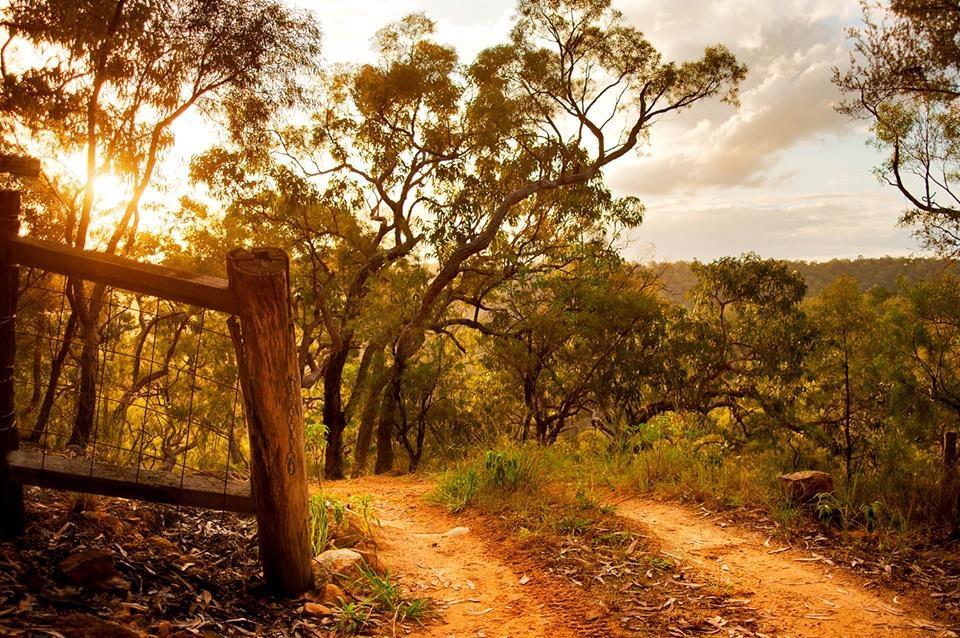 Kurrajong Trails & Cottages Wheeny Creek Buitenkant foto