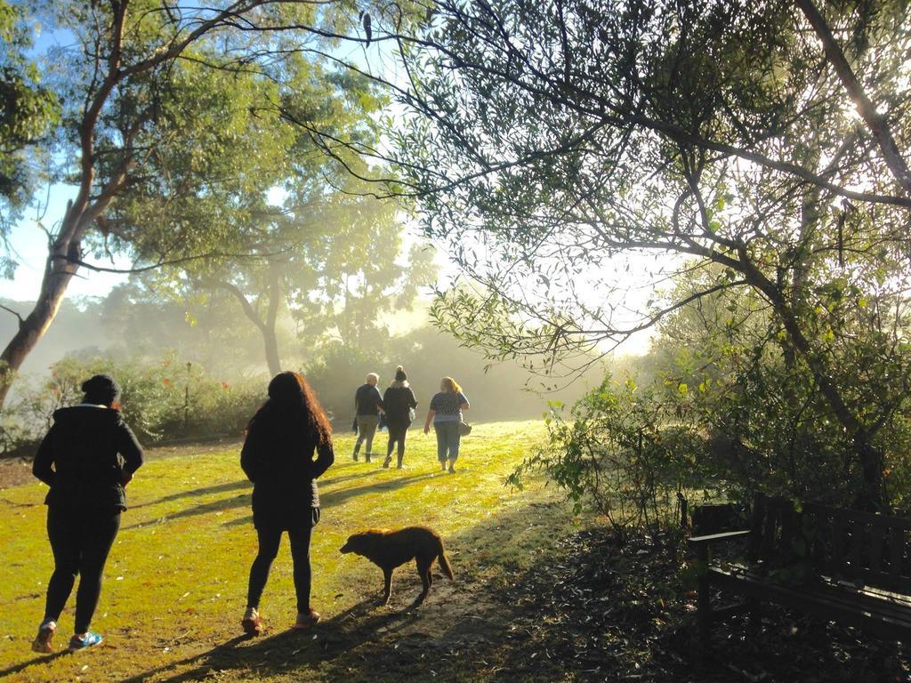 Kurrajong Trails & Cottages Wheeny Creek Buitenkant foto