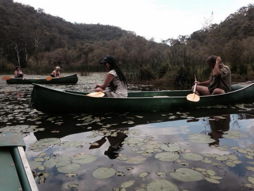 Kurrajong Trails & Cottages Wheeny Creek Buitenkant foto