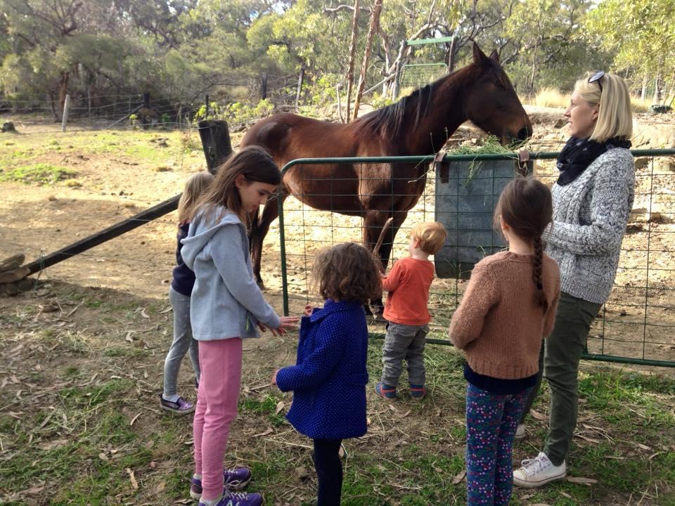 Kurrajong Trails & Cottages Wheeny Creek Buitenkant foto