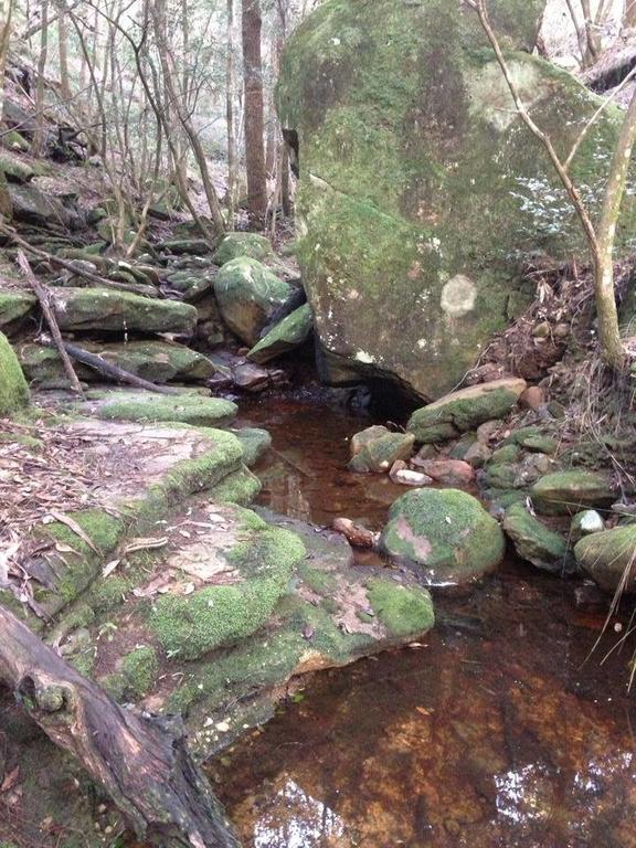 Kurrajong Trails & Cottages Wheeny Creek Buitenkant foto