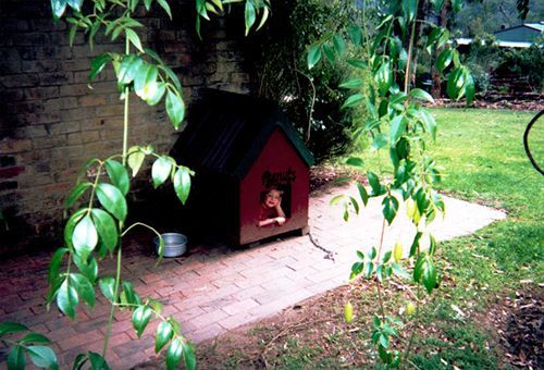 Kurrajong Trails & Cottages Wheeny Creek Buitenkant foto