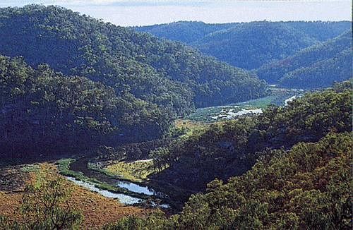 Kurrajong Trails & Cottages Wheeny Creek Buitenkant foto